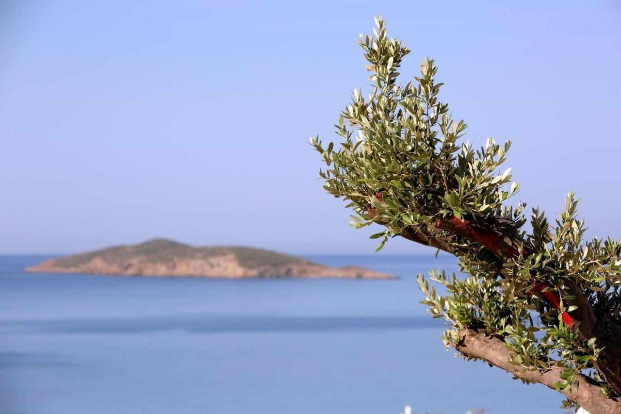 Elia Privileged Suites Andros Ανδροσ Bagian luar foto